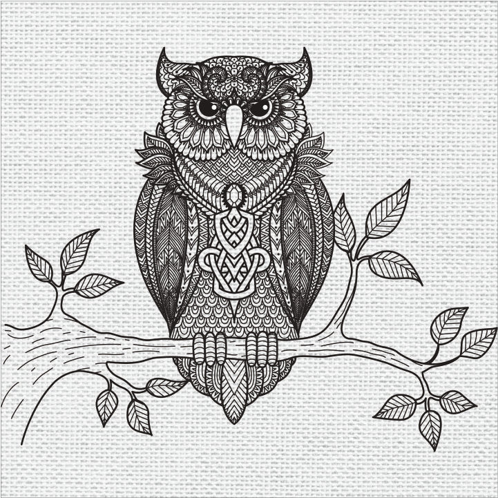 Owl DIY Frame Canvas Base