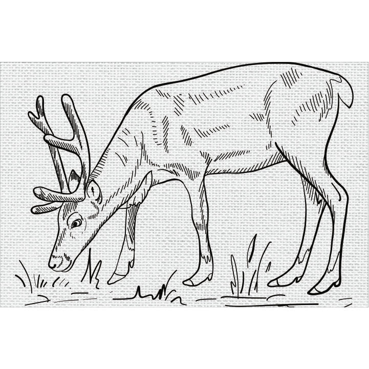Canvas And Mdf Deer Diy Framed Base For Painting
