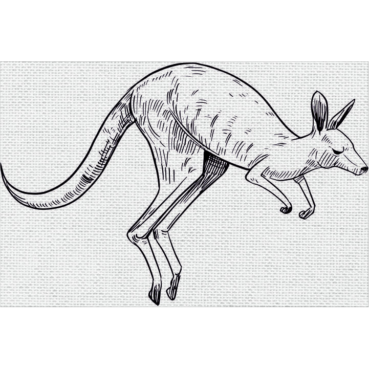 Canvas and mdf Kangaroo pre-marked Framed Base for Painting