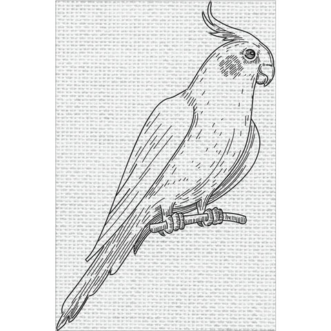 Parrot Bird Canvas DIY Framed