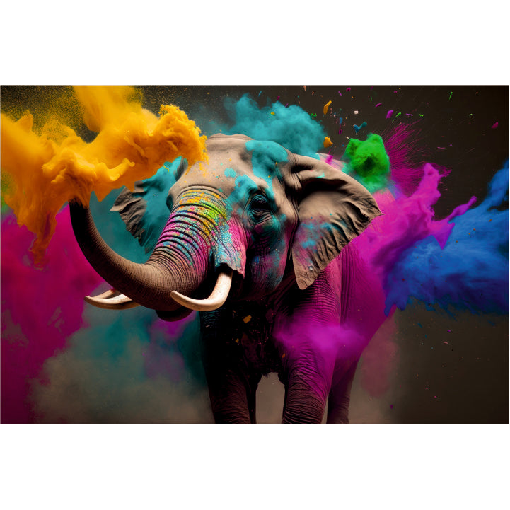 Animal color Elephant Canvas Photo Frame