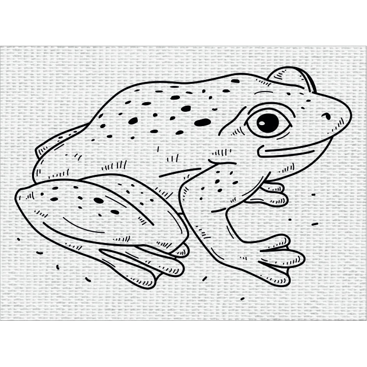 Canvas And Mdf Frog Pre-marked Framed Base For Painting