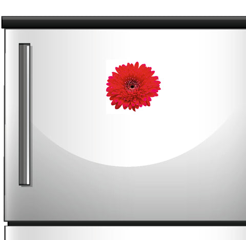 Acrylic Red daisy Printed Fridge Magnet