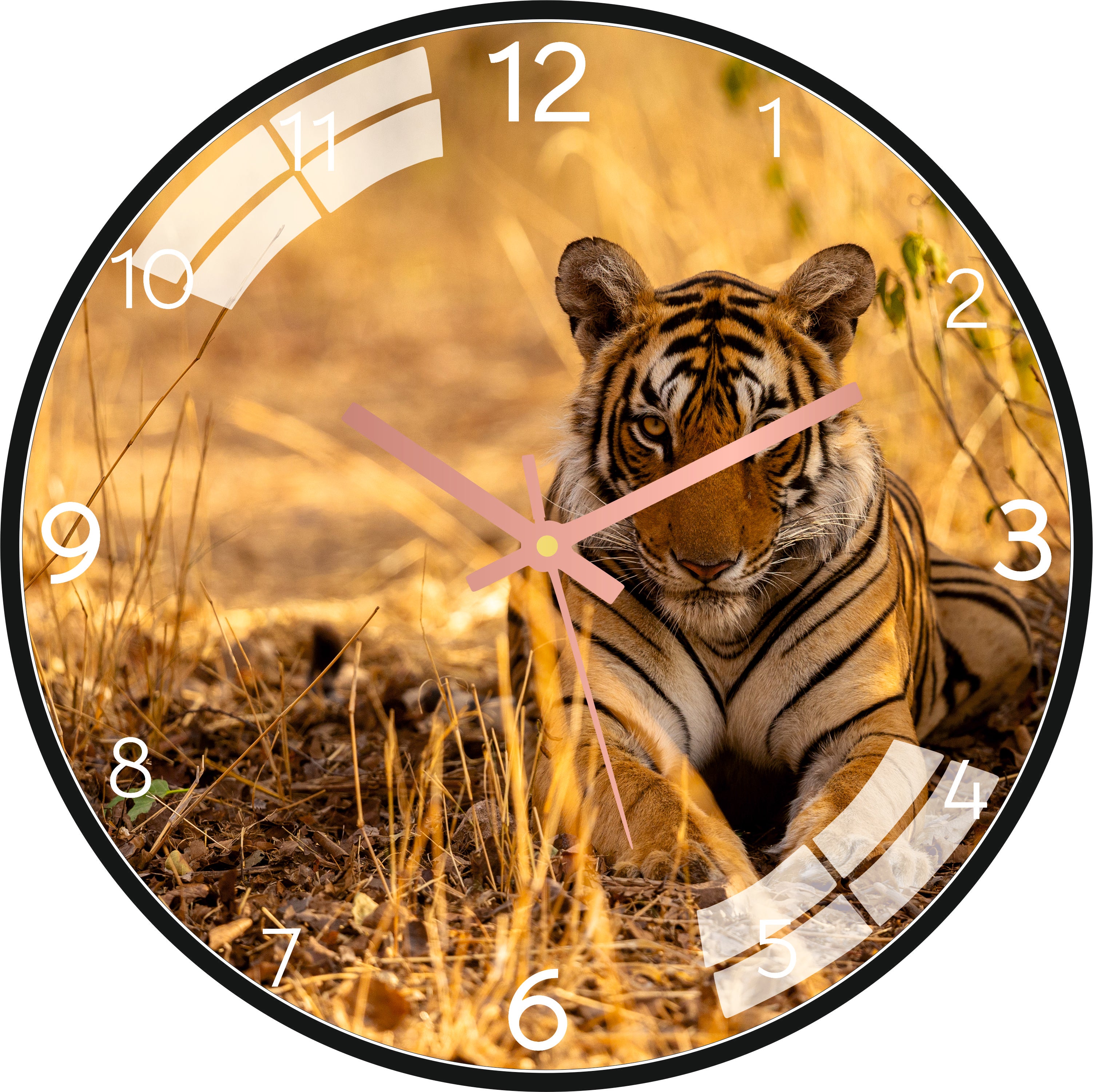 Serious Tiger Wall Clock