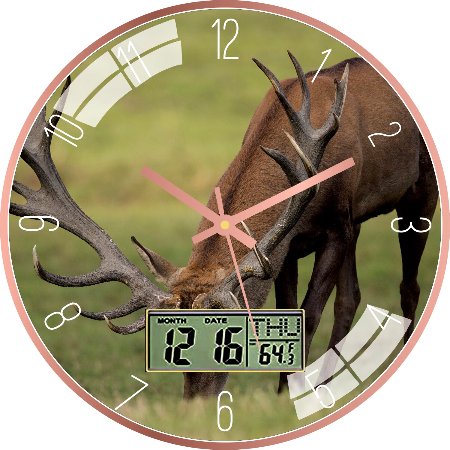 Forest Red Deer Wall Clock