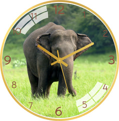 Nature Elephant Wall Clock