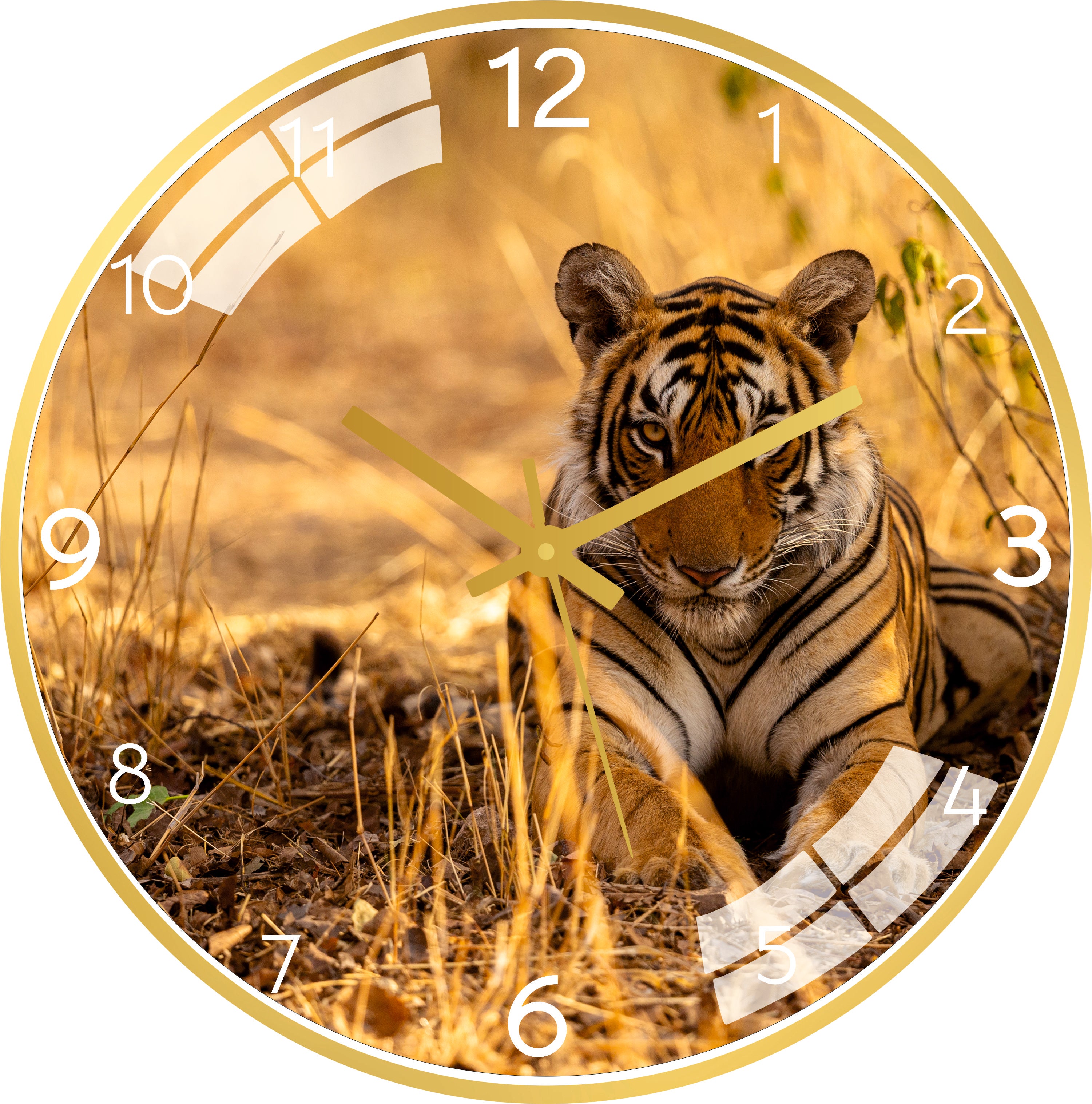 Serious Tiger Wall Clock