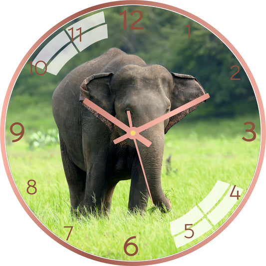 Nature Elephant Wall Clock